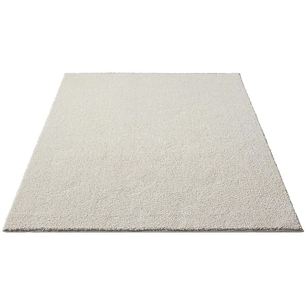 Floornovo Kurzflor Teppich Nr. 198 Beige Einfarbig 290 x 200 cm günstig online kaufen