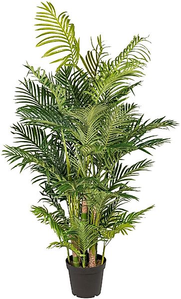 Kunstpalme Arecapalme Palme, Creativ green, Höhe günstig online kaufen