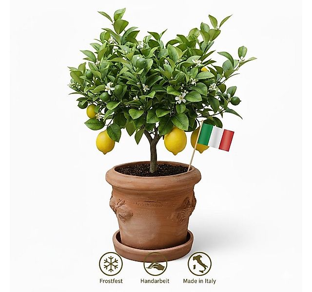 Teramico Pflanzkübel Terrakotta Blumenkübel Limoni Toscana 25, 100% Frostfe günstig online kaufen