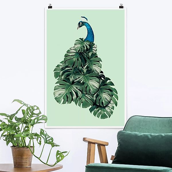 Poster Tiere - Hochformat Pfau mit Monstera Blättern günstig online kaufen