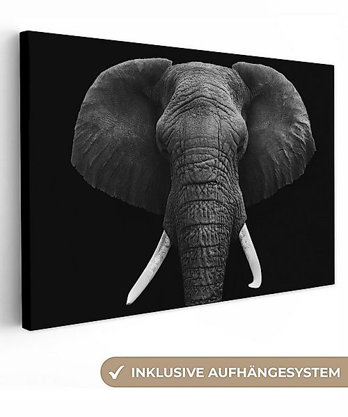 OneMillionCanvasses® Leinwandbild Elefant - Wildtiere - Schwarz - Weiß - Po günstig online kaufen