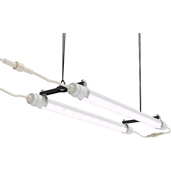 Palram - Canopia LED Gartenleuchte "Brighton" LED-Modul Neutralweiß LED-UV- günstig online kaufen