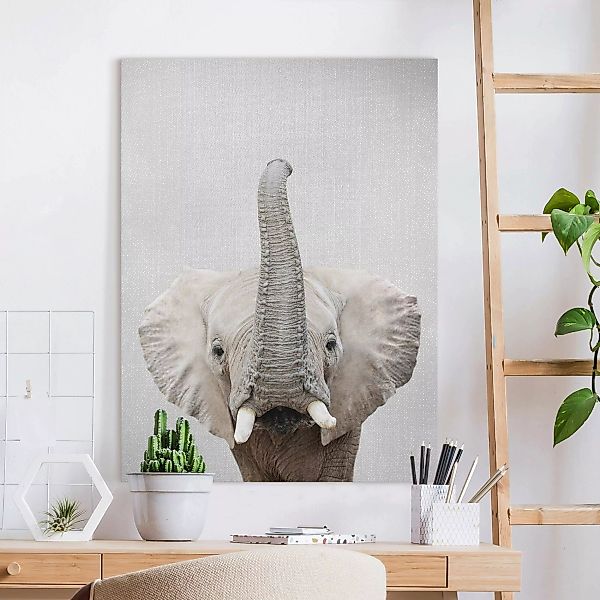 Leinwandbild Elefant Ewald günstig online kaufen