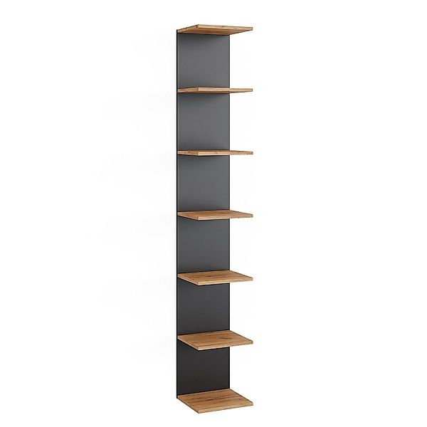 Vicco Bücherregal Paolo, Anthrazit/Goldkraft Eiche, 30 günstig online kaufen