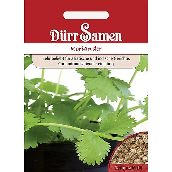 Dürr Samen Koriander Saatgut günstig online kaufen
