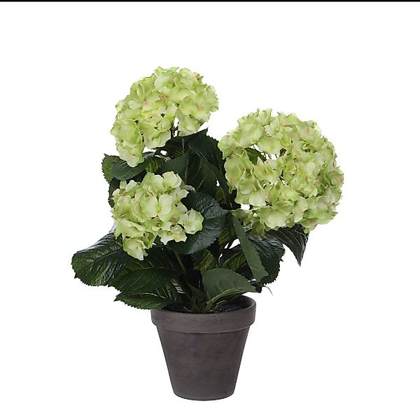 Kunstpflanze Mica Kunstpflanze Hortensie im Topf günstig online kaufen