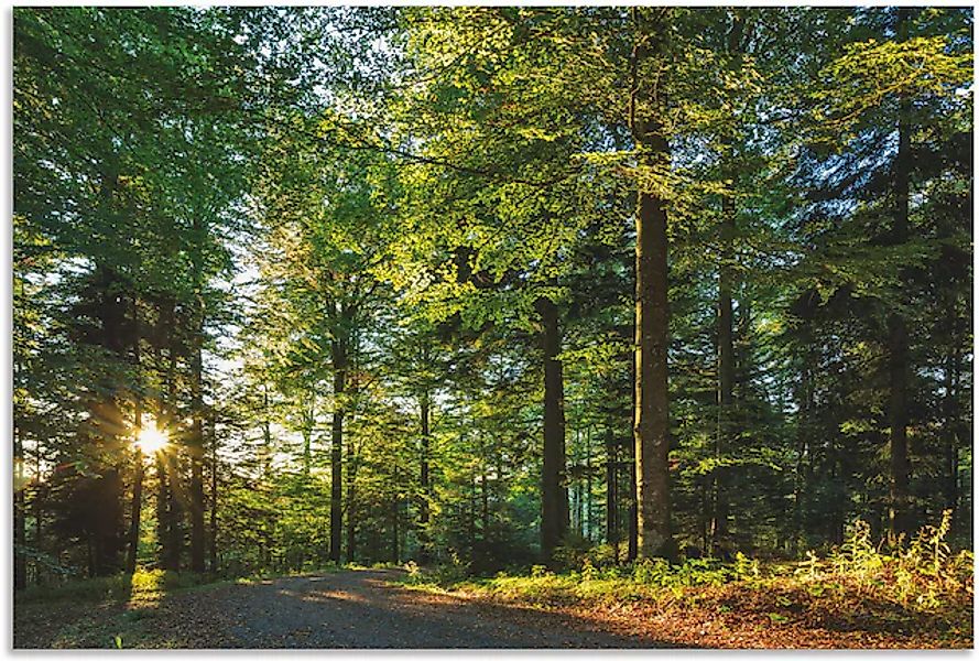 Artland Wandbild »Waldweg im Romantischen Schwarzwald« Waldbilder 1 Stk. tl günstig online kaufen