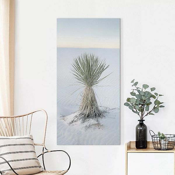 Leinwandbild Yucca Palme in weißem Sand günstig online kaufen