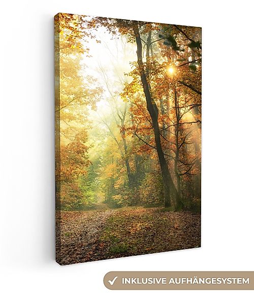 OneMillionCanvasses® Leinwandbild Wald - Herbst - günstig online kaufen