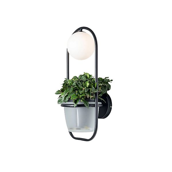 Lindby Wandleuchte Wandlampe Innen Orna 10012290 Modern in Schwarz aus Meta günstig online kaufen