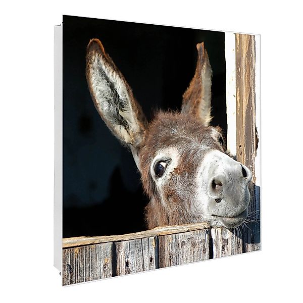 banjado Schlüsselkasten Glas Nicki (Stahl Gehäuse, mit 50 Haken), 30 x 30 x günstig online kaufen