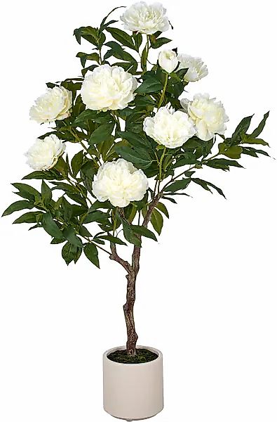 Creativ green Kunstpflanze »Peonie« im eleganten Topf günstig online kaufen