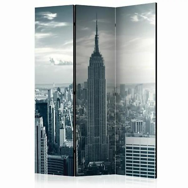 artgeist Paravent Amazing view to New York Manhattan at sunrise [Room Divid günstig online kaufen