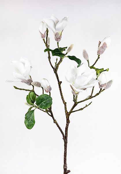 Kunstblume Magnolienzweig / Magnolienast 98cm weiß GA künstliche Blumen Mag günstig online kaufen