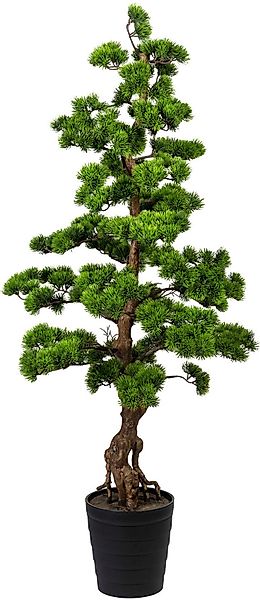 Creativ green Kunstbonsai "Bonsai Kiefer" günstig online kaufen