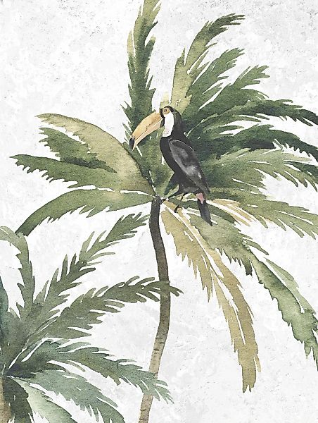 Komar Bild "Tropical Toucan", Natur, (1 St.), Wandbild zur Dekoration - ohn günstig online kaufen