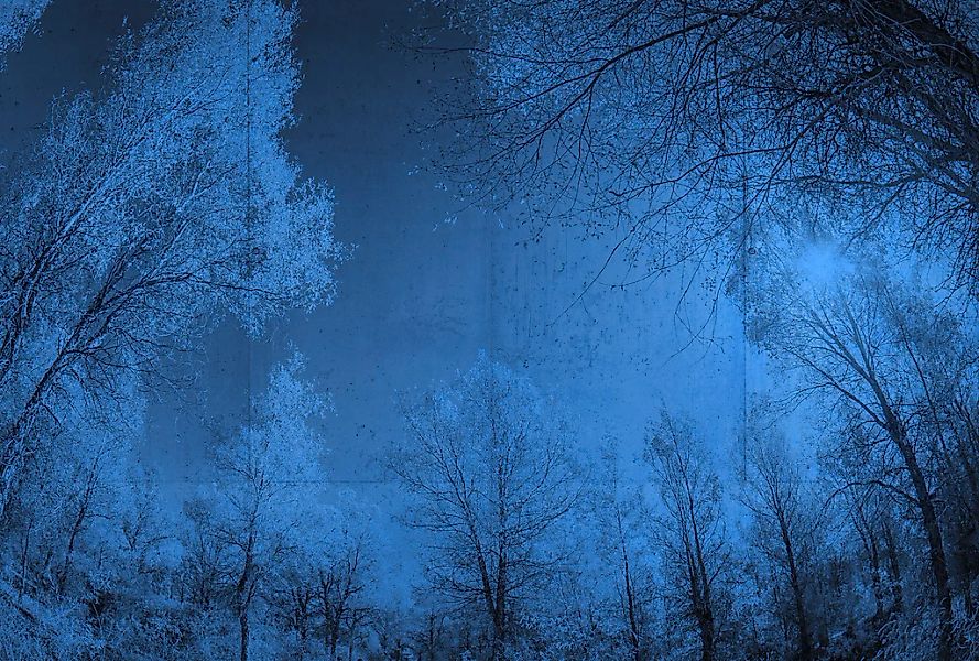 Architects Paper Fototapete "Atelier 47 Forest Glade 1" Wald glatt Vlies, W günstig online kaufen