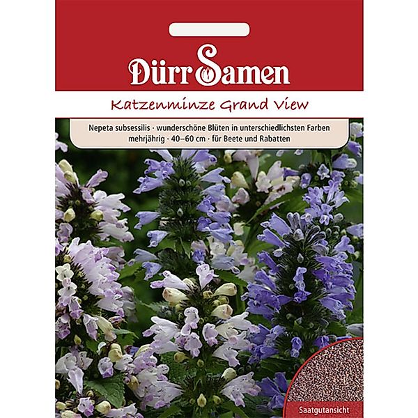 Dürr Samen Nepeta Subsessilis Katzenminze Grand View Mehrjährig Saatgut günstig online kaufen