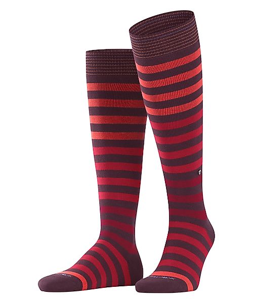 Burlington Kniestrümpfe "Blackpool" gestreift, blickdicht, passend von Gr. günstig online kaufen