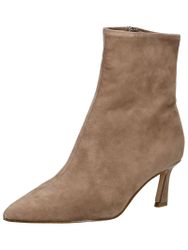STEVE MADDEN Stiefelette Veloursleder . Stiefelette günstig online kaufen