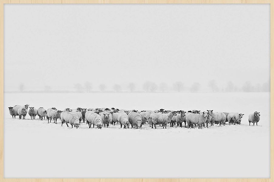 Wandkraft | Wanddekoration Winterwunderland günstig online kaufen