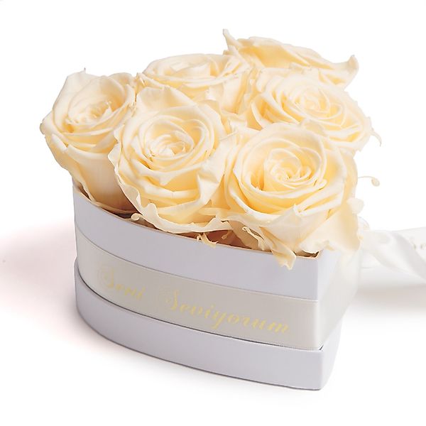 Kunstblume Seni Seviyorum Hediye herz Box günstig online kaufen