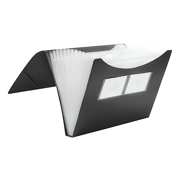 FOLDERSYS Fächermappe, 12 Fächer, DIN A4 günstig online kaufen