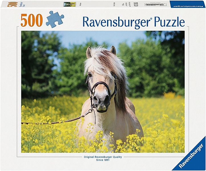 Ravensburger Puzzle Pferd im Rapsfeld, 500 günstig online kaufen