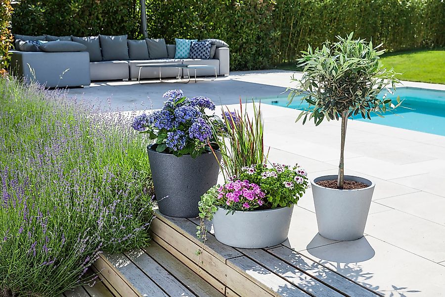 Scheurich Pflanzgefäß C-Cone Ø 47 cm Stony Black günstig online kaufen