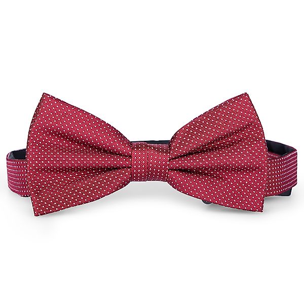 Seidenfalter Fliege aus Seide, gepunktet Farbe dunkelrot Größe: One Size günstig online kaufen