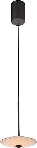 Paul Neuhaus LED Pendelleuchte »ELIPSA« LED-Board 1 Stk. Warmweiß Dimmfähig günstig online kaufen