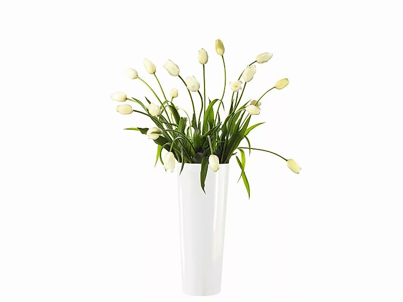 ASA Vasen mono Vase weiß 45 cm (weiss) günstig online kaufen