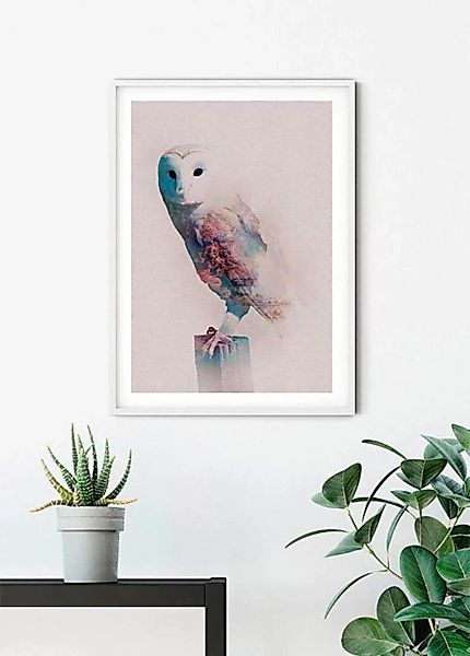 Komar Poster "Animals Forest Owl", Tiere, (1 St.) günstig online kaufen