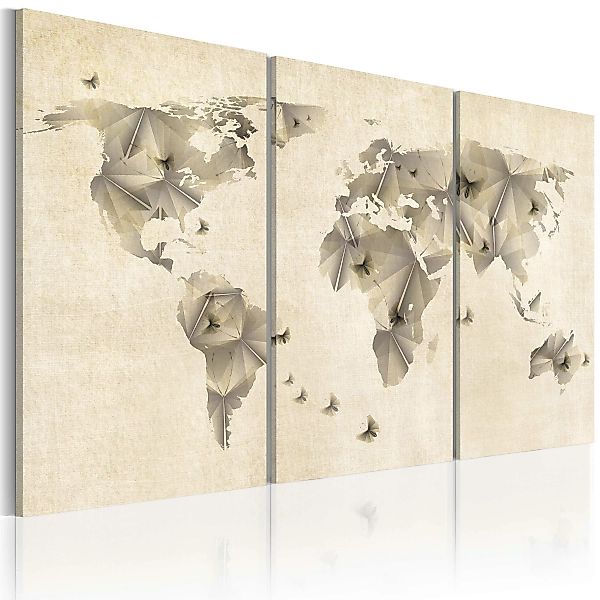 Wandbild - Atlas der Schmetterlinge - Triptychon günstig online kaufen