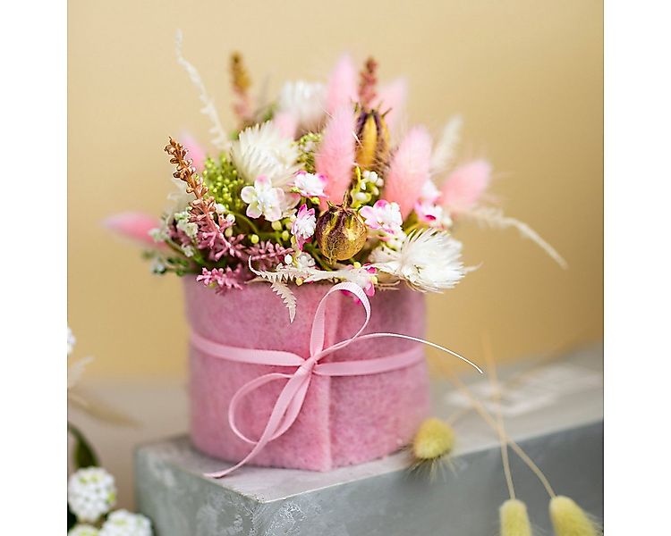 Trockenblume Lagurus Getrocknet Hasenschwanzgras Pink Deko Trockenblumen 65 günstig online kaufen