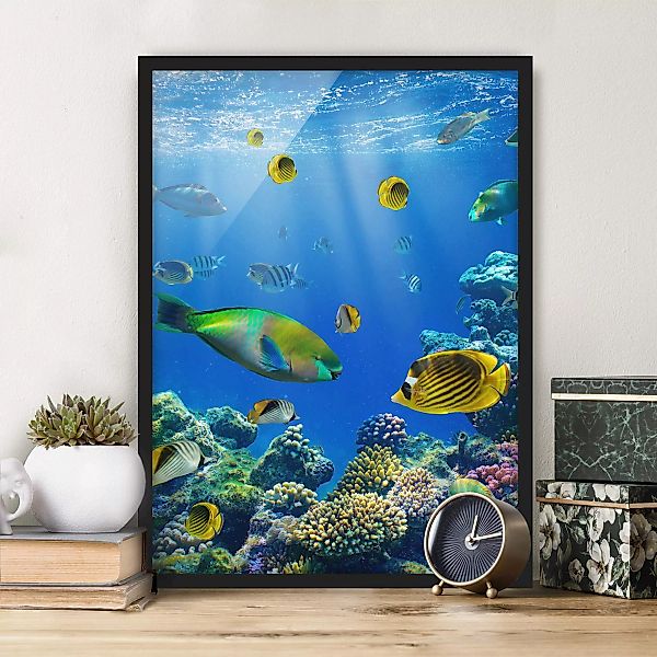 Bild mit Rahmen Tiere - Hochformat Underwater Lights günstig online kaufen