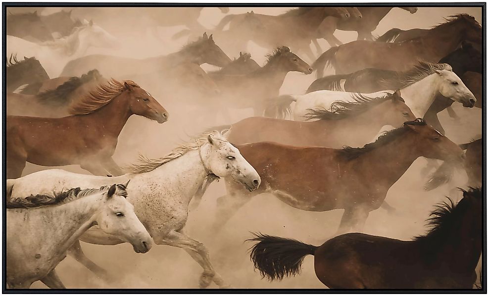 Papermoon Infrarotheizung »Pferde Herde«, sehr angenehme Strahlungswärme günstig online kaufen