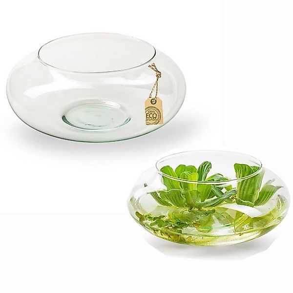 Annastore Dekoschale Glasschale für Dekorationen Dekoschale aus Glas Blumen günstig online kaufen