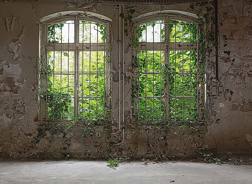 living walls Fototapete Designwalls Old Window, günstig online kaufen