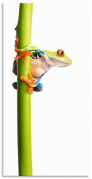 Artland Wandbild "Frosch umfasst einen Pflanzenstengel", Wassertiere, (1 St günstig online kaufen