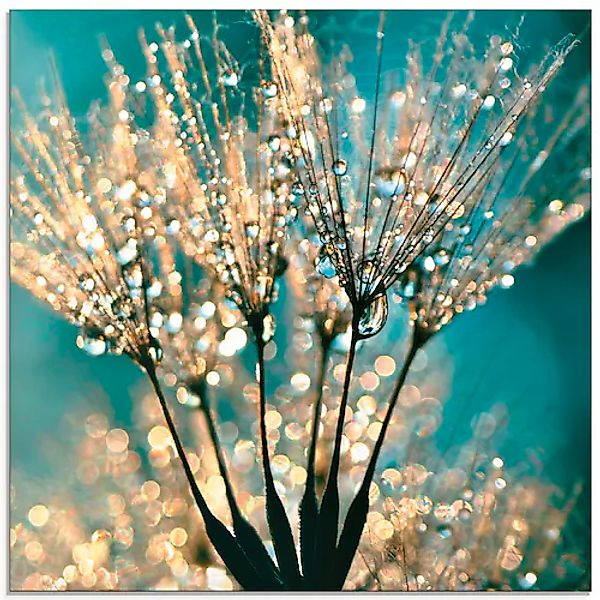 Artland Glasbild »Pusteblume Schirmchen abstrakt« 1 Stk. tlg. in verschiede günstig online kaufen