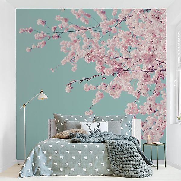 Bilderdepot24 Fototapete Blumen Japanische Kirschblüte Blumentapete günstig online kaufen