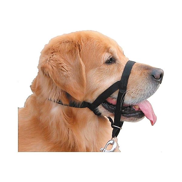 Nobby Hunde-Erziehungsgeschirr Easy Leader günstig online kaufen