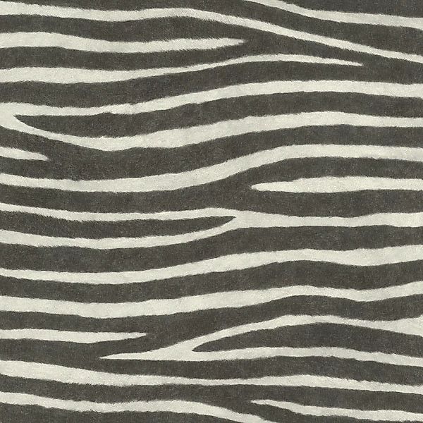 Rasch Vliestapete African Queen III Zebra Schwarz-Weiß 10,05 x 0,53 m günstig online kaufen