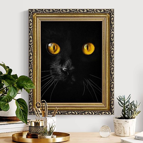 Gerahmtes Leinwandbild Schwarzes Katzen Portrait günstig online kaufen