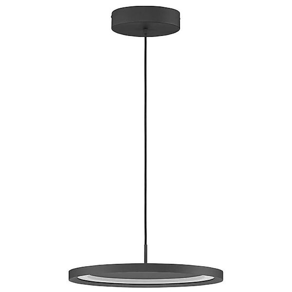 LED Pendelleuchte Andria in Schwarz 30W 2221lm günstig online kaufen