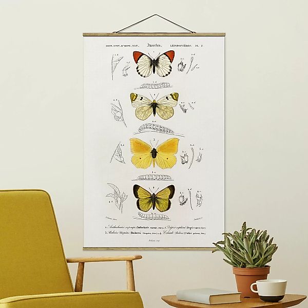 Stoffbild Tiere mit Posterleisten - Hochformat Vintage Lehrtafel Schmetterl günstig online kaufen