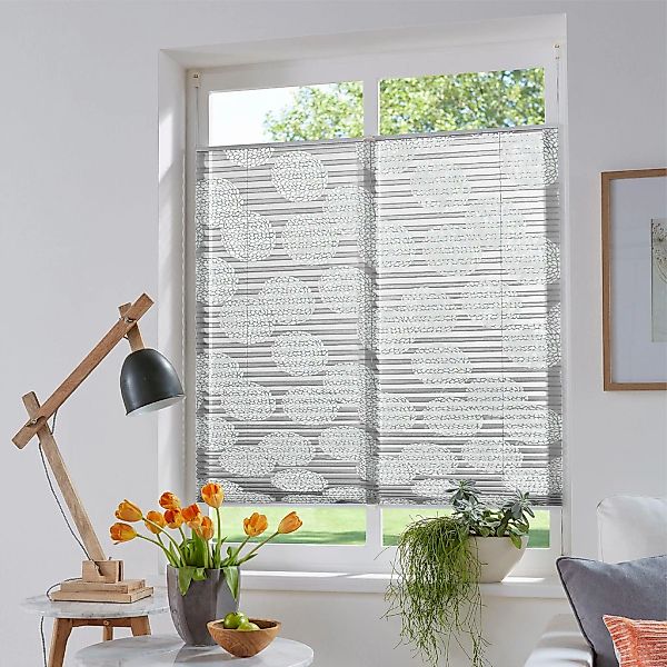 my home Plissee "BELUM" Lichtschutz ohne Bohren verspannt im Fixmaß, Ausbre günstig online kaufen