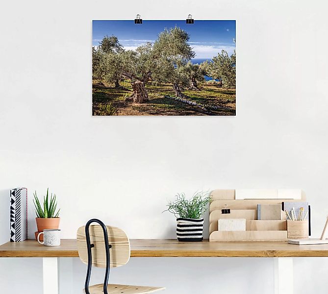 Artland Wandbild "Olivenhain in der Serra de Tramuntana", Küstenbilder, (1 günstig online kaufen