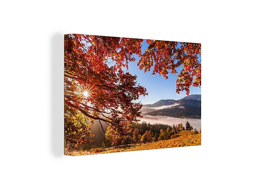 OneMillionCanvasses® Leinwandbild Herbst - Baum - Licht, Fotodruck (1 St), günstig online kaufen